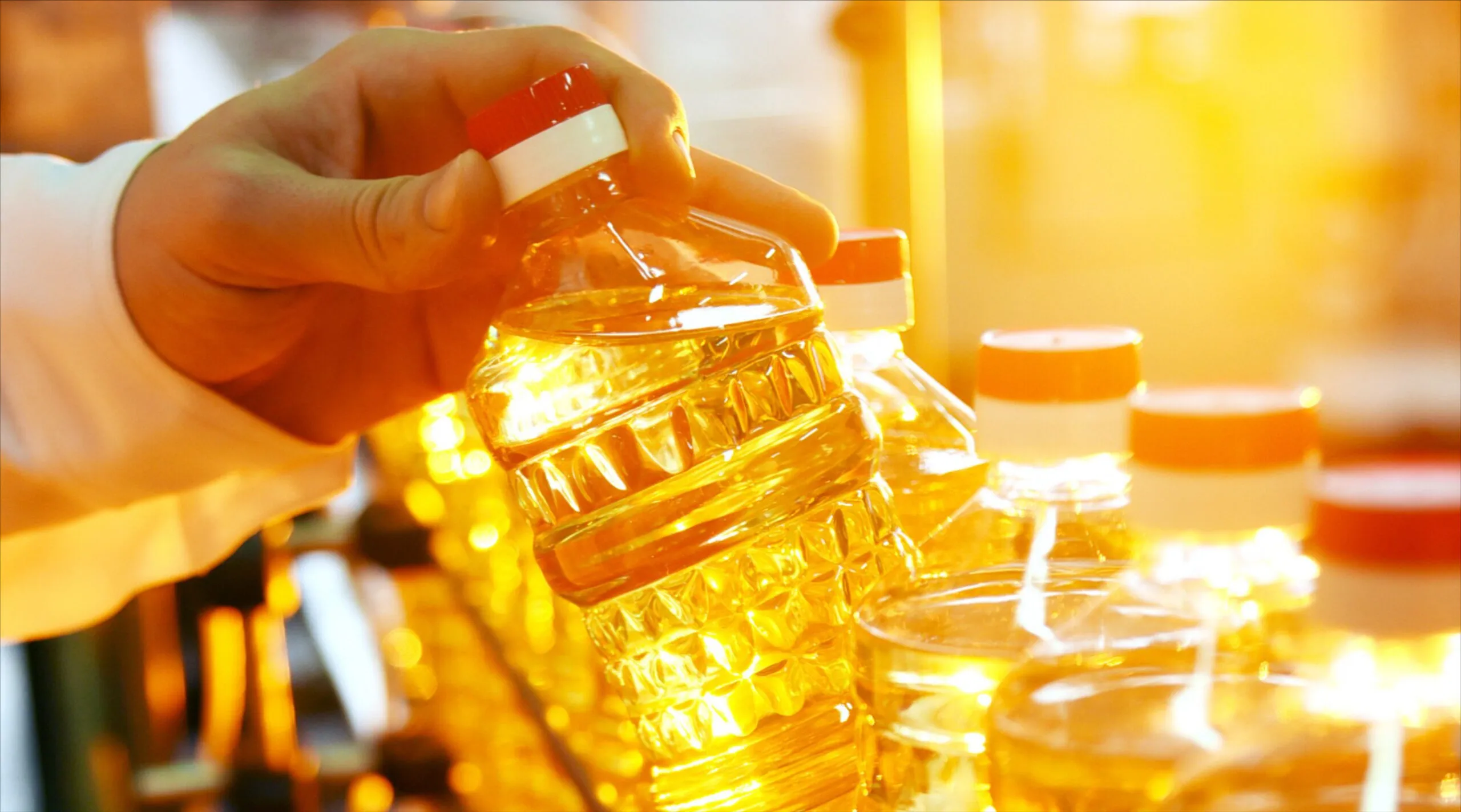 oil wholesaler