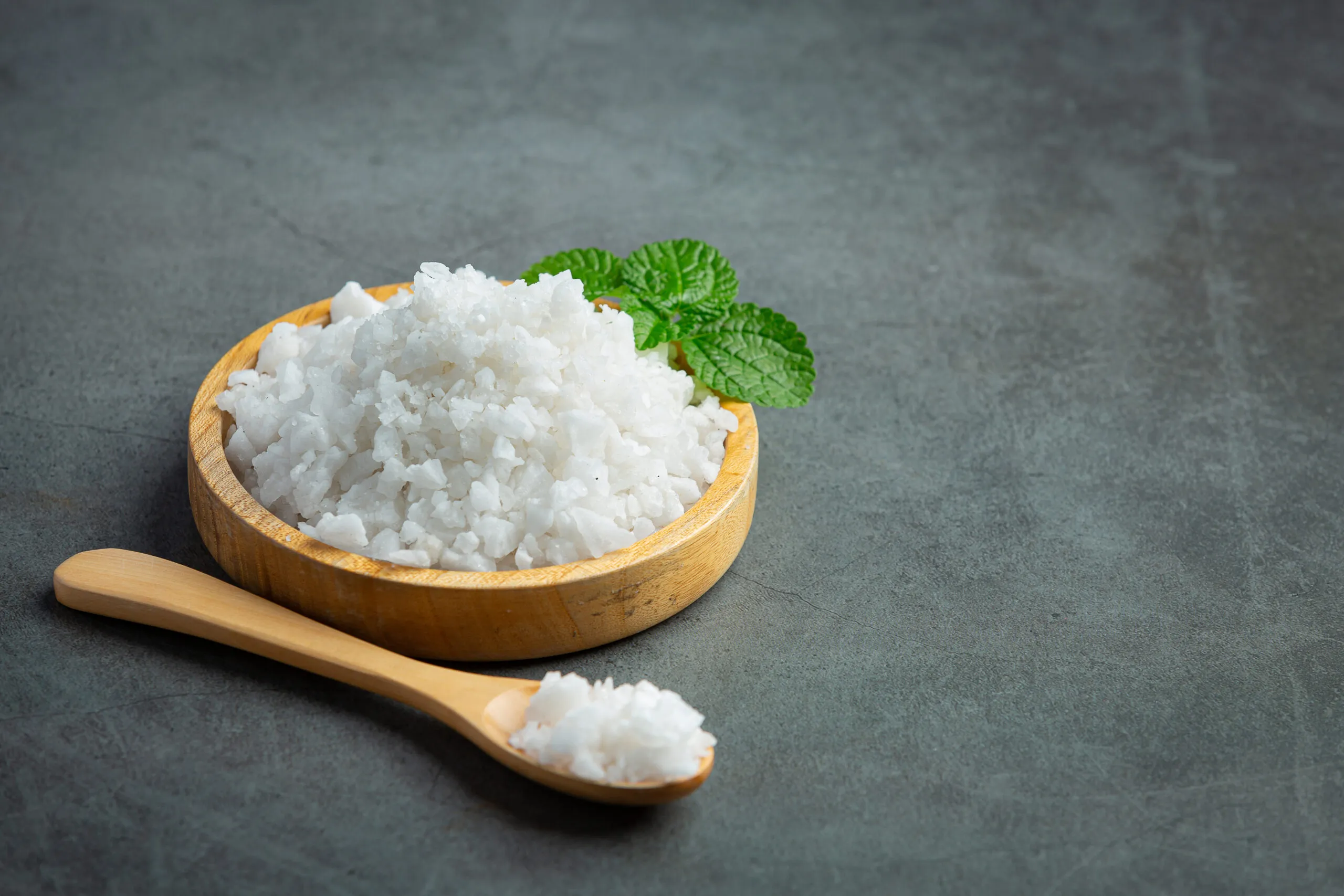 salt wholesaler