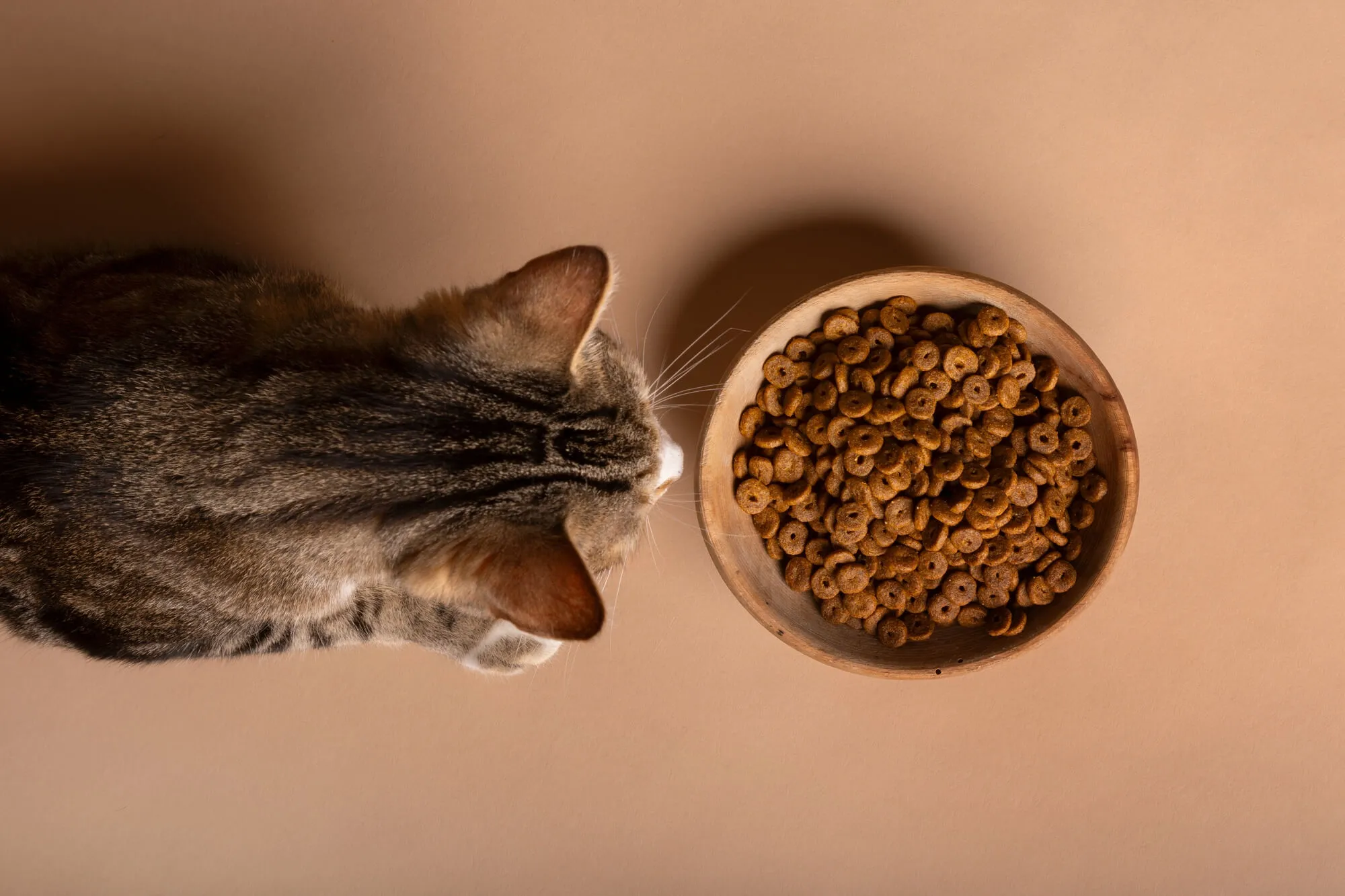 Cat food wholesaler