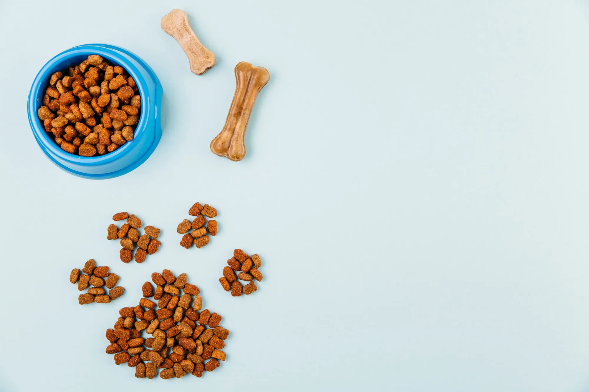 Dog food wholesaler