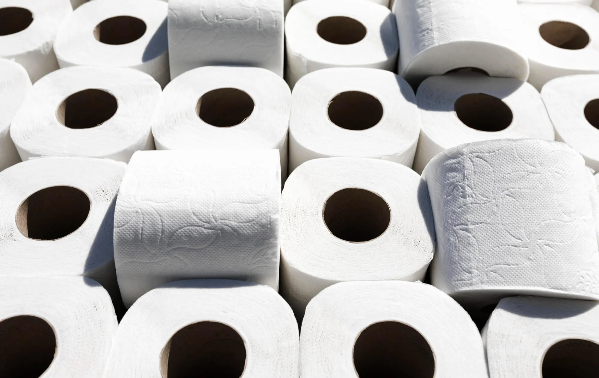 Toilet paper wholesaler