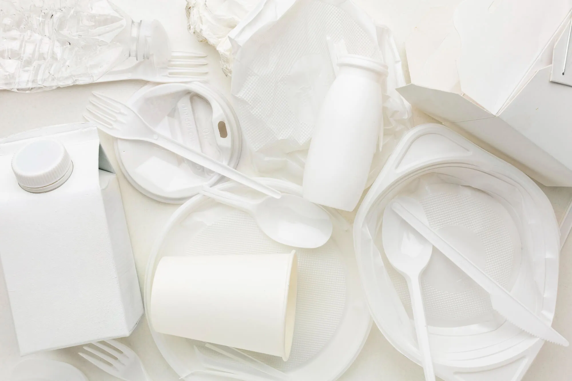 Wholesaler of disposable products